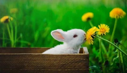 俄罗斯加密展会见闻：矿机销售火爆 交易所受制裁困扰 稳定币试图突围