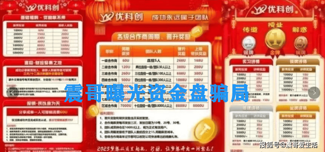 优科创TS的LDC利鼎交易所,资金盘这大坑你敢踩吗?