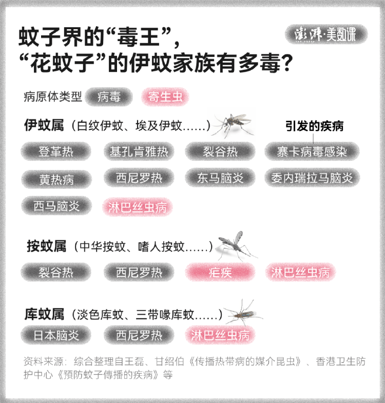 全球“最毒”的蚊子,为何批量北上