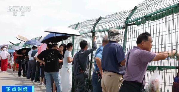 有机会看到“双潮叠加”!今年钱塘观潮不用等到八月十八