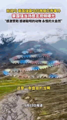 “感谢大家支持我大闹天宫……”蔡国强烟花秀现场感言视频披露,又遭质疑!