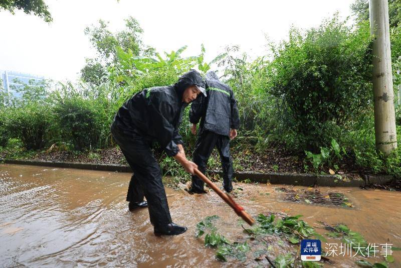 从“山竹”开始,深圳这家企业每遇台风都组织员工排险清障