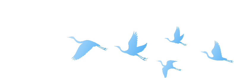 瞄准标准化与高效化!河北省消保委举办“全国消协智慧315”平台应用培训班