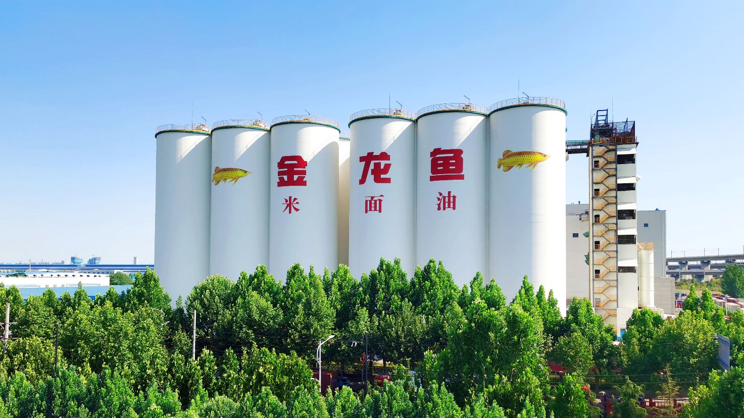 金龙鱼股票(金龙鱼股票行情) 金龙鱼股票(金龙鱼股票行情)