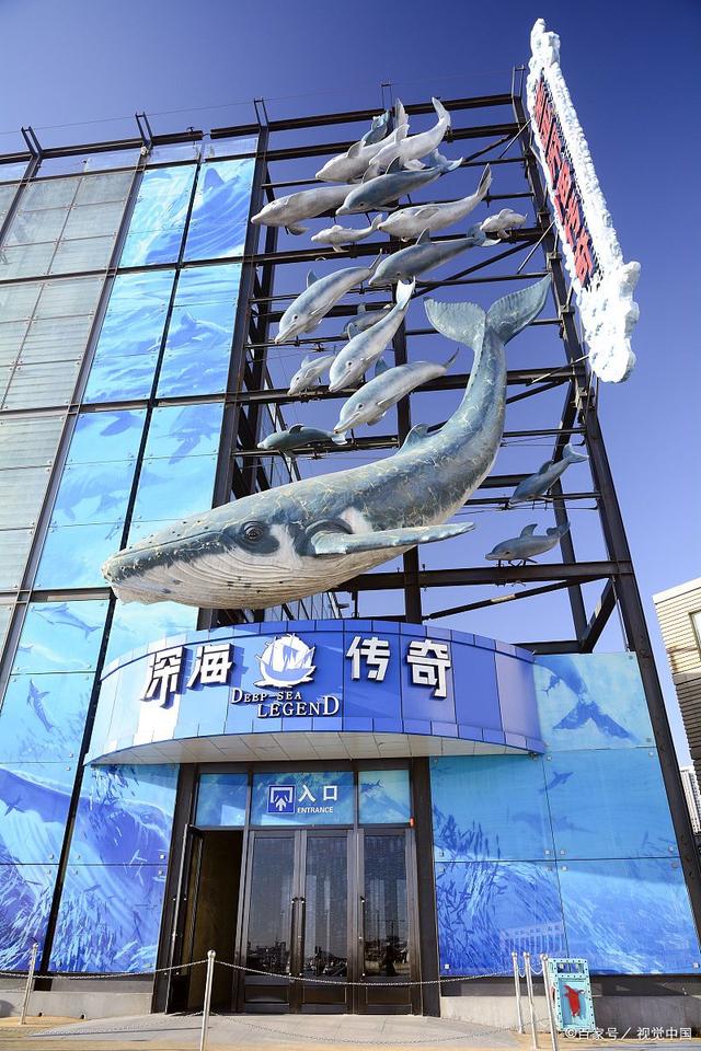 大连圣亚股票(大连圣亚股票最新消息今天) 大连圣亚股票(大连圣亚股票最新消息今天)