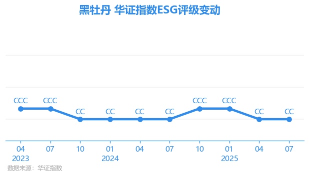 黑牡丹股票(黑牡丹股票行情)