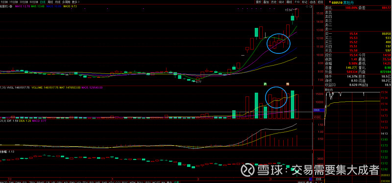 黑牡丹股票(黑牡丹股票今天啥情况) 黑牡丹股票(黑牡丹股票今天啥情况)