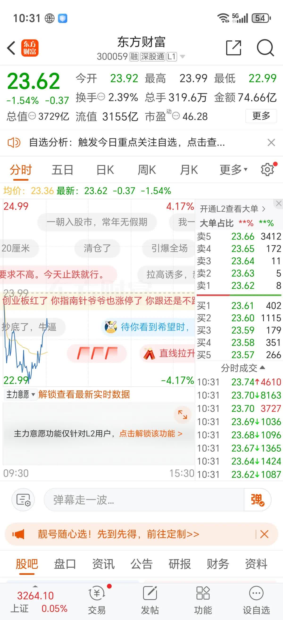 黑牡丹股票(黑牡丹股票代码) 黑牡丹股票(黑牡丹股票代码)