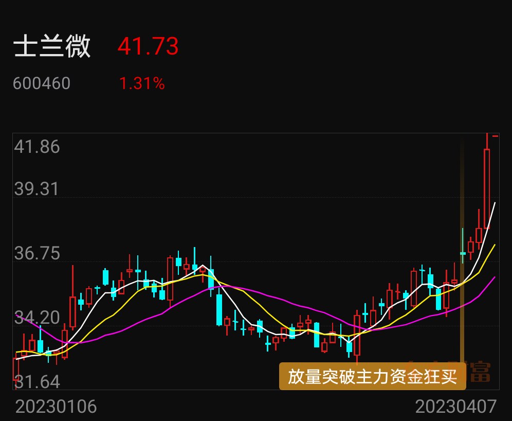 金证股份股票(金证股份股票1883012)