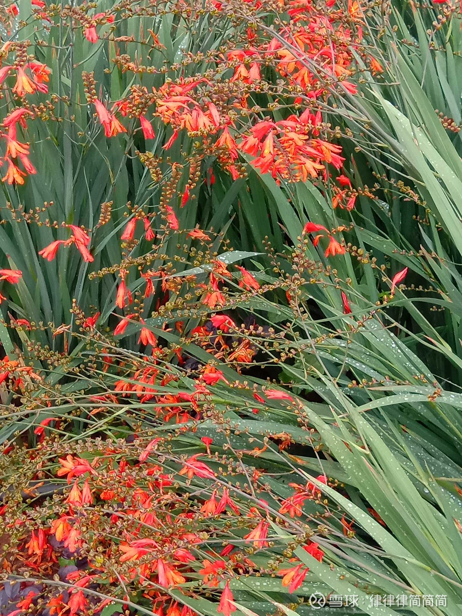 蛋卷基金(蛋卷基金app怎么不见了)