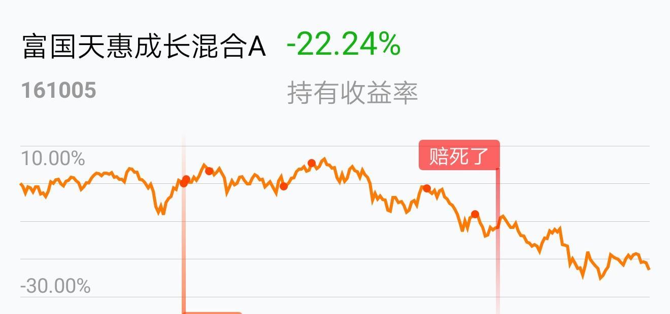 富国天惠成长混合基金161005(富国天惠成长混合基金161005值得买吗)